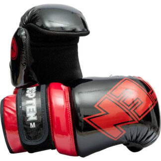 TOP TEN Pointfighter “Glossy Block” Gloves